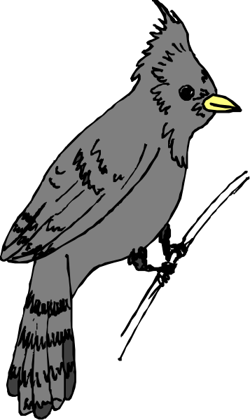 The blackbird with a yellow beak on its head stands out against the dark background of this small clip-art image.