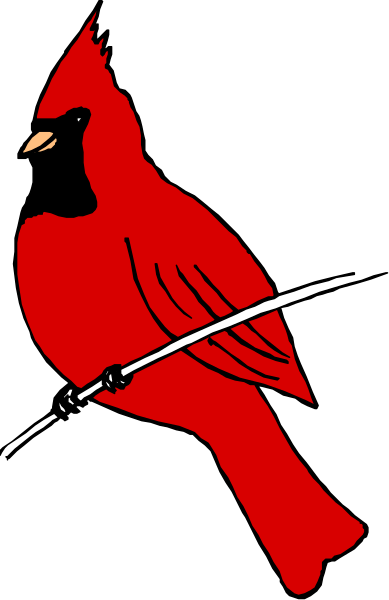 The image shows a red cardinal with an arrow through its body standing next to what appears to be baseball bats on either side of it against a black background.