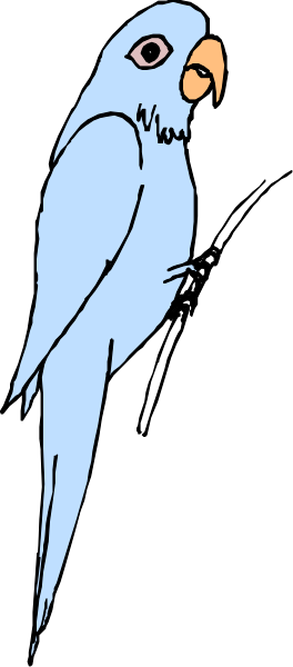 The image features a blue parrot perched on top of its wing with an orange beak against a black background.