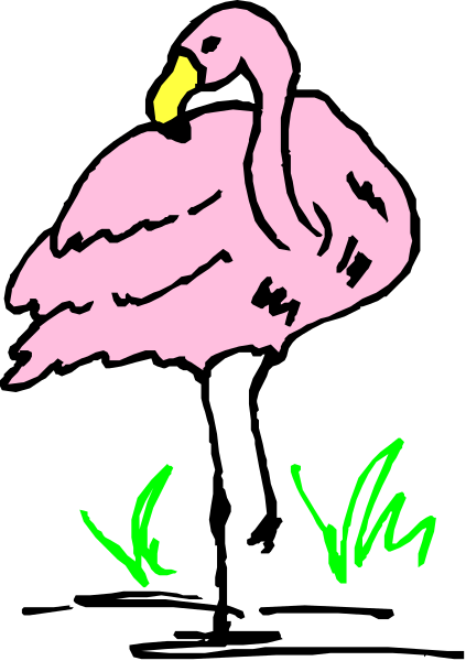 The image shows a pink flamingo standing on green grass with its head turned to look at something off-camera.