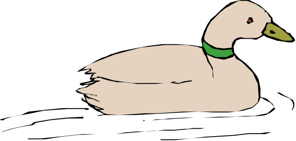 The image shows a duck swimming on water with its head upwards towards something above it.