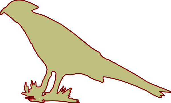 The image shows a cartoon bird with its wings spread wide flying over an explosion effect on what appears to be a dark background.