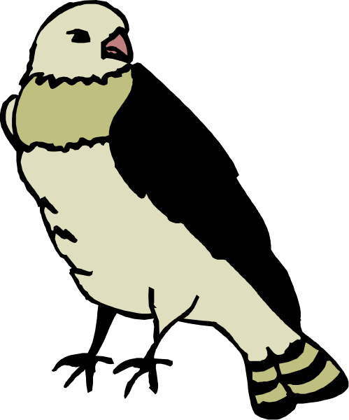 The image shows a cartoon of an owl with its wings spread out against a black background.