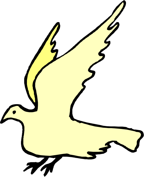 The image shows a white dove with an outstretched wing flying against a black background.