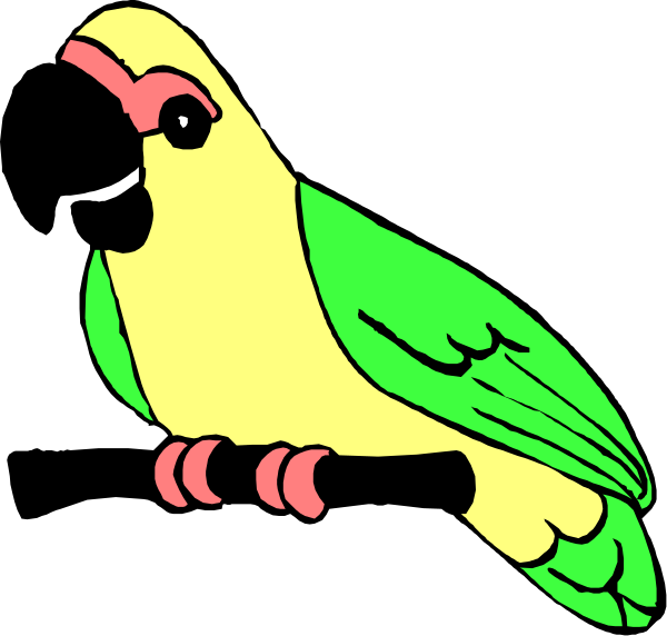 The image shows a colorful parrot perched on top of an open book with pages visible inside it.