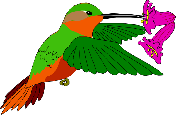 The image shows a colorful parrot with an open beak holding what appears to be a small pink flower between its feet while perched on top of another bird's wing that is also colored in shades of green and red, set against a black background.