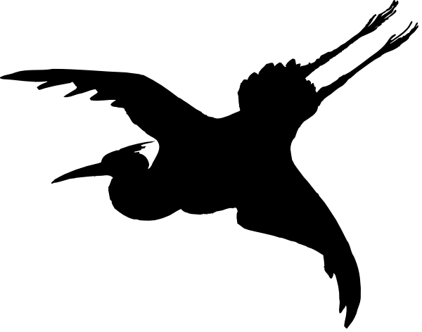 The image shows a black screen with white text that reads "The End."