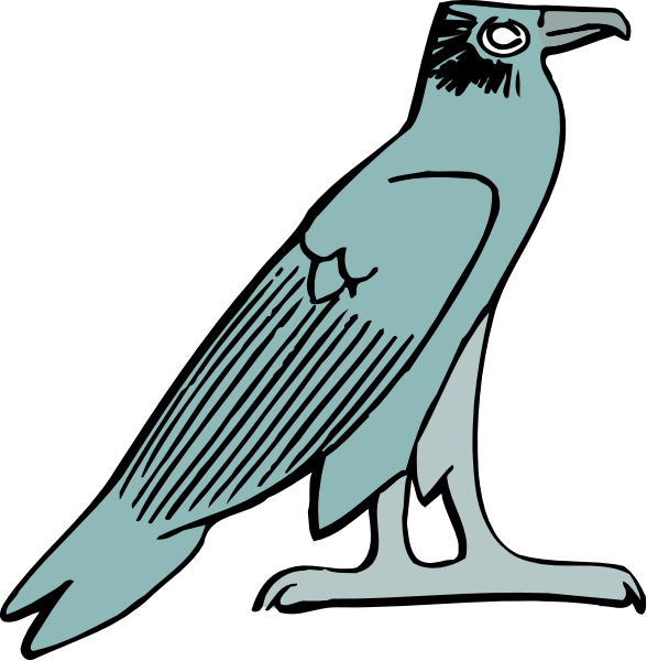 The image shows a blue bird with outstretched wings standing on two legs against a black background; it is depicted twice in one frame as if mirrored horizontally from left to right.