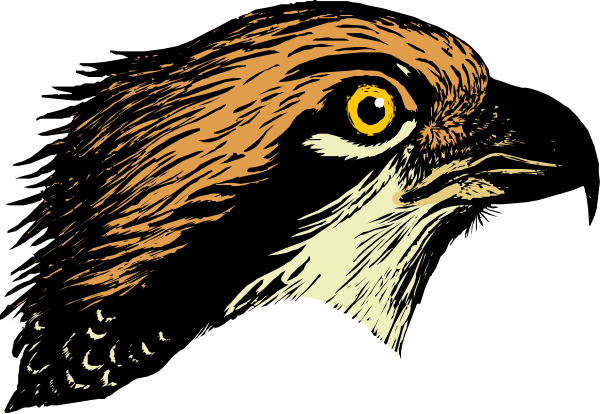 The image shows a stylized illustration of an owl with glowing eyes against a dark background.