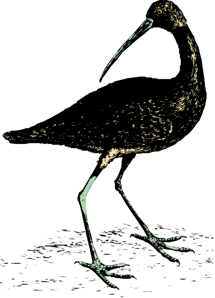 The image shows a black silhouette of an owl on its perch against a dark background with white speckles that resemble stars in space.
