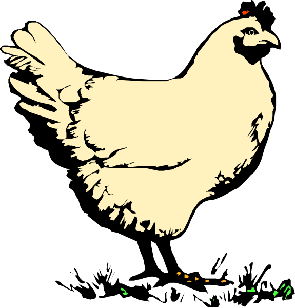 The image shows two black and white illustrations of a chicken with its wings spread out against different backgrounds: on top is an open field under clear skies; below it's a darker backdrop, possibly representing nighttime.