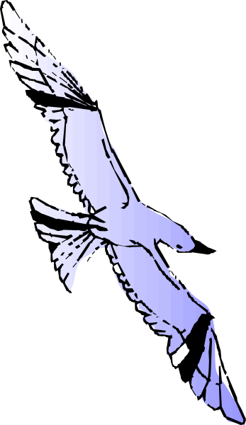 The image shows a black bird with white wings against a dark background on the left side of the frame; there is no visible text in this small clip-art image.
