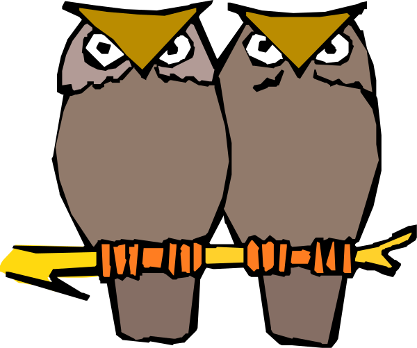 The image shows two owls standing side by side with a shield between them; each bird has an eye patch over its eyes and is wearing what appears to be armor on their chests.