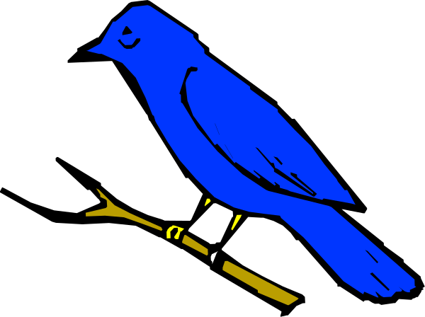 The image shows a blue bird with an open beak perched on what appears to be a branch against a black background.