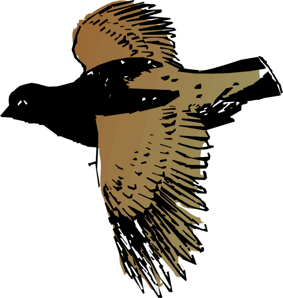 The image shows a stylized graphic of an eagle's head with its wings spread out against a dark background.