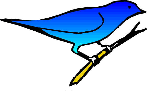 The image shows a blue bird with yellow beak perched on top of what appears to be an open book.