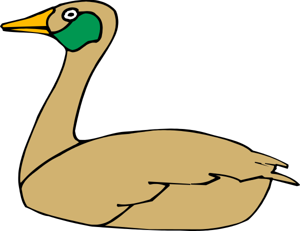 The image shows a cartoon of two birds: an ostrich with its head sticking out from behind another bird that is facing forward.