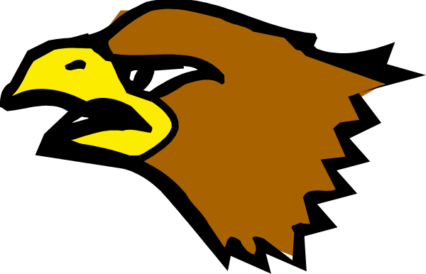 The image shows a black eagle with white wings on its side against an orange background.