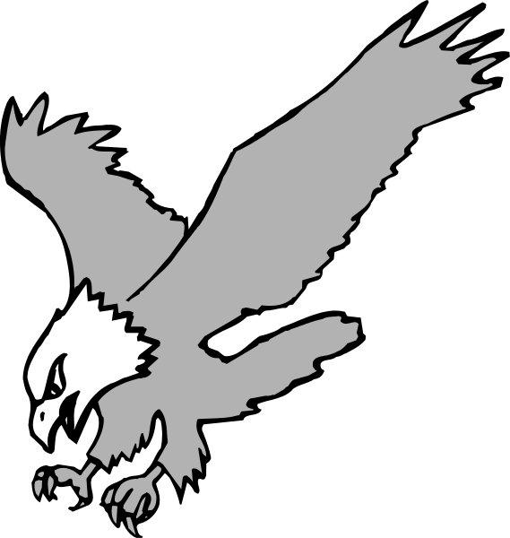 The image shows a black silhouette of an eagle with its wings spread wide against a white background on top half, while bottom half is dark gray featuring two small eyes looking upwards towards it from below.