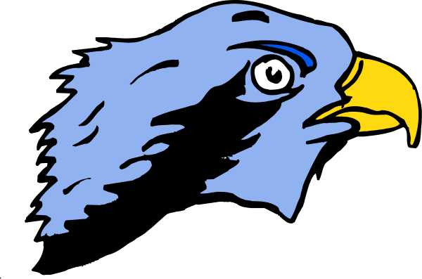 The image shows a stylized eagle's head with an eye looking to its right against a black background.