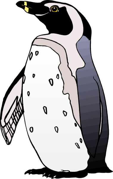 The image shows a penguin with its wings spread out against a dark background.