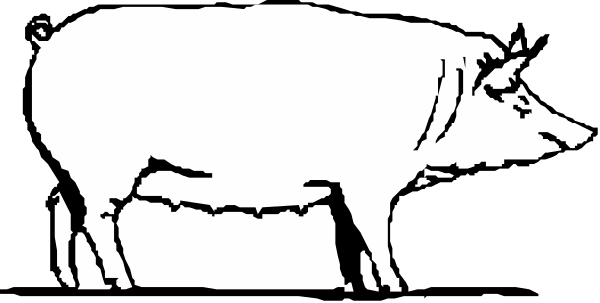 The black and white silhouette of a pig standing on its hind legs with front paws raised as if it's walking upright in an abstract background.
