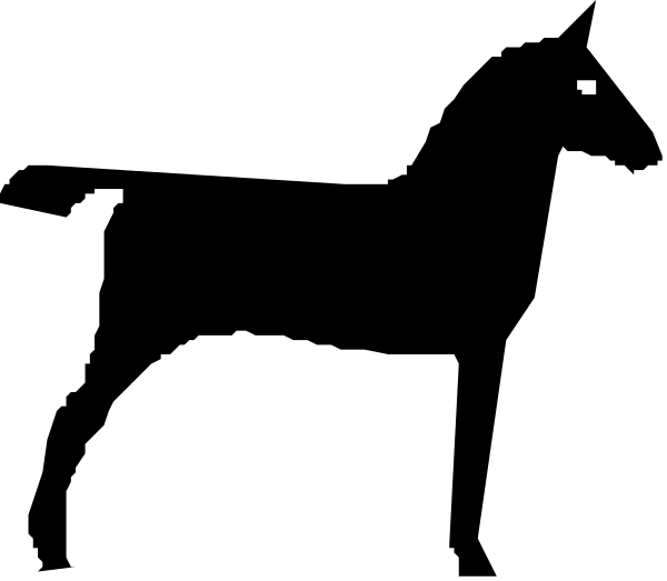 The image shows a black screen with white text that reads "Welcome to my website."