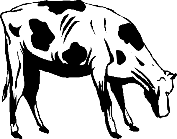 The black and white illustration shows a cow with its head turned to look at something off frame while standing on all fours in front of what appears to be an open book lying flat on the ground behind it, suggesting that this might represent knowledge being consumed by or associated with cows.
