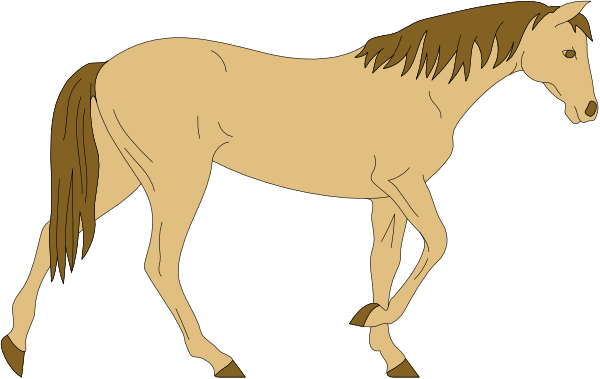 The image shows a horse running on an unseen surface with its head turned to look back over its shoulder at something behind it.