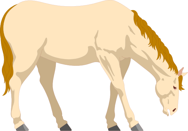 The image shows two horses standing side by side with a background that appears to be an outdoor space like grassland or pasture.