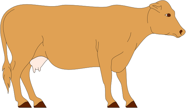 The image shows a cartoon of two cows standing next to each other on what appears to be grass; there is no text present in this clip-art illustration.