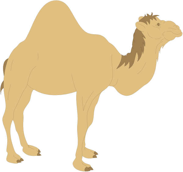 The image shows two cartoon camels standing side by side against a black background; there is no text present within this clip-art illustration.