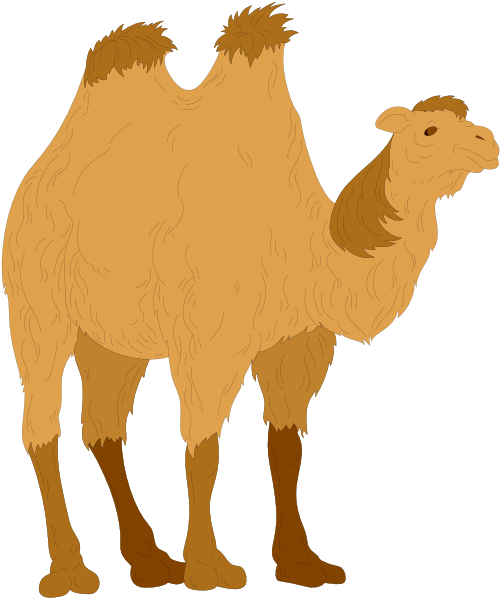 The illustration shows a camel standing upright on its hind legs with front feet raised as if it's walking backward in an anthropomorphic pose against a plain background.