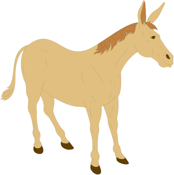The image shows two separate illustrations of a horse: on top left is an animated depiction with brown hair standing upright in profile view; below it to its right is another drawing showing only half of the same animal, cropped at midsection and facing away from us against a black background.