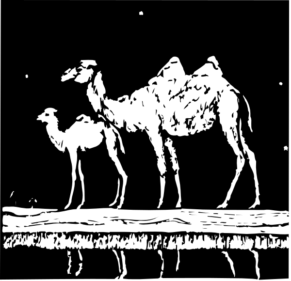 The black and white illustration shows a camel caravan with two adult camels walking side by side under night sky filled with stars, followed by one baby camel in front of them on what appears to be an ancient bridge over water at dusk.
