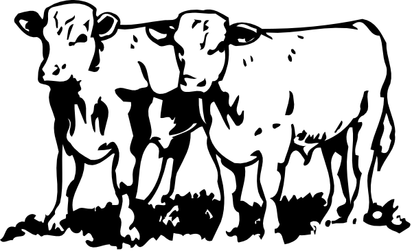 The black and white silhouette of a group of cows standing together with their heads facing different directions against an indistinct background.