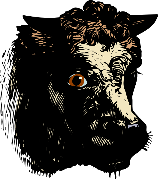The image shows a black and white illustration of an animal with human features looking directly at the viewer against a dark background.