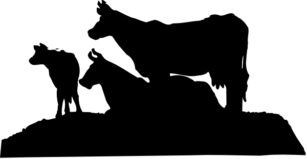 The image shows a black and white graphic of an abstract design with no discernible features to identify any object, person, animal, action, or specific setting.