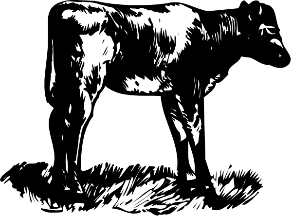 The black and white illustration shows a cow standing under an overpass with its head facing forward towards us; it is nighttime in this scene as indicated by darkness surrounding the area outside of where we can see the silhouette of trees, suggesting that there might be more to the background than what's visible.