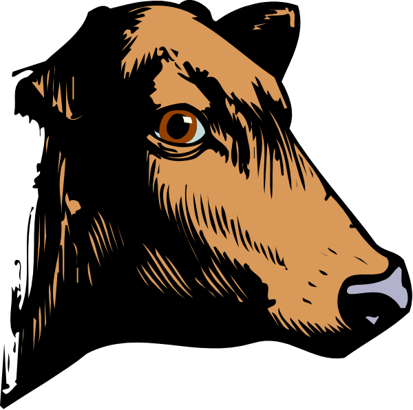 The image features a black dog with orange eyes looking directly at the viewer against an all-black background.