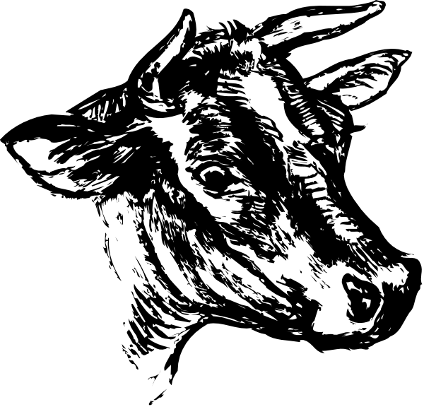 The black and white illustration shows a cow's head with its ears perked up against an indistinct background.