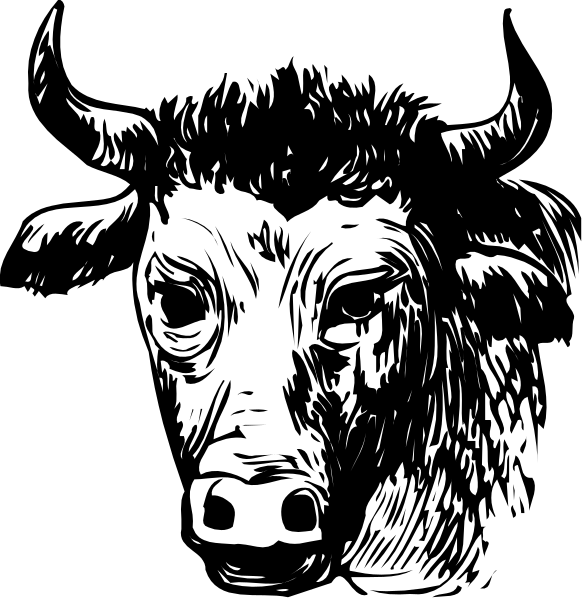 The black and white illustration shows a side profile of an animal that resembles a bison with large horns on its head facing left against a dark background.