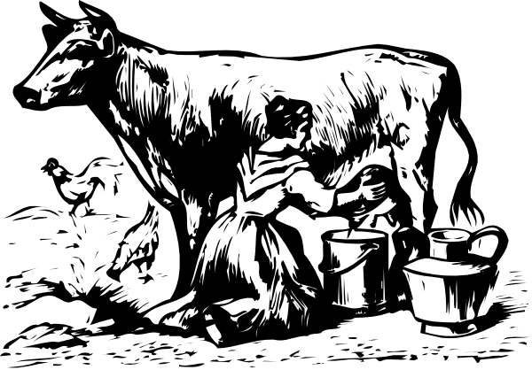 The black and white illustration depicts a cow with two buckets on its back standing next to an old-fashioned stove in what appears to be a kitchen scene.