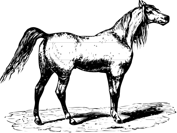 The black and white illustration shows a horse standing next to an open stable door with its head over it as if looking out into another room.