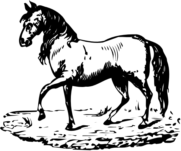 The black and white illustration shows a horse standing on its hind legs with front hooves raised as if it's rearing up to kick something off-frame in an indoor environment that appears darkened by shadows, possibly suggesting nighttime setting.