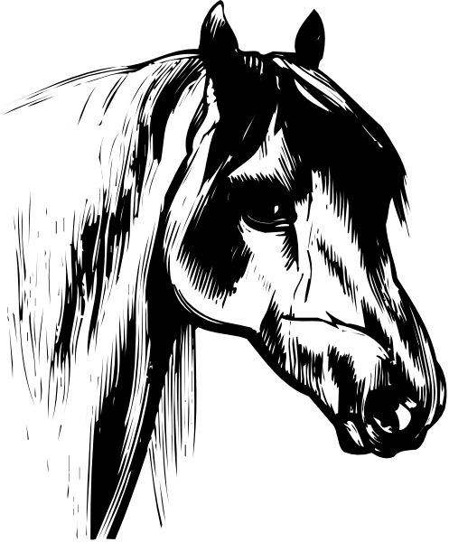 The black and white photo shows a horse's head with its eyes closed against an indistinct background.