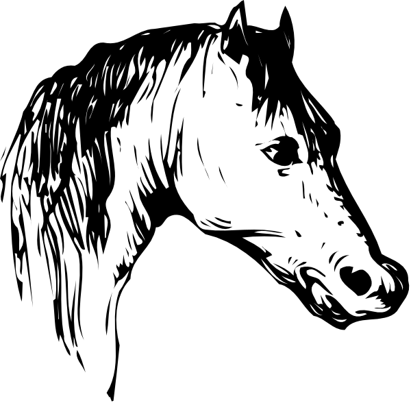The black silhouette of a horse's head against a dark background with white speckles that resemble stars in space.