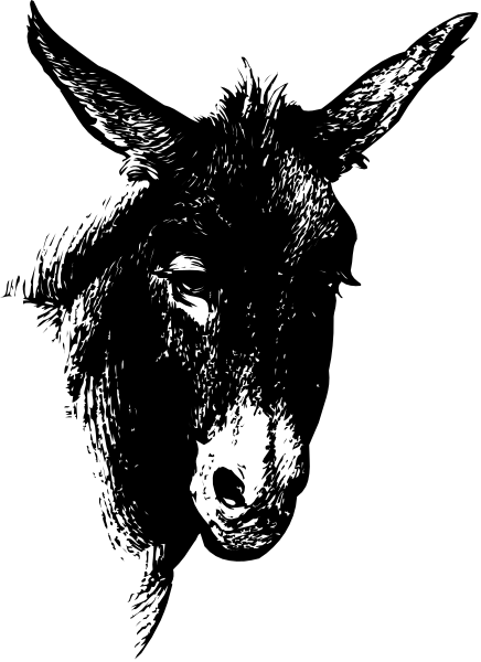The black and white photo shows a donkey's head with horns against a dark background on top of another image that appears to be an animal but is too small for me to identify it accurately.