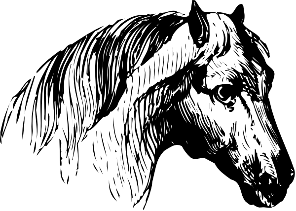 The black and white photo shows a horse's head with its eyes closed against an indistinct background.