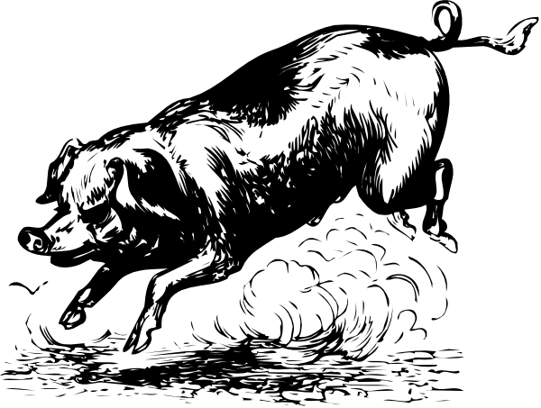 The black and white illustration shows a dog sitting on its hind legs with front paws extended forward as if reaching for something in an indoor environment that appears to be darkened except around the edges where light is coming from outside, possibly through windows.